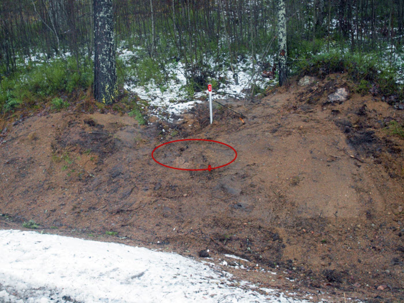 Peitetty kaivo merkkitolppineen nurmikolla.